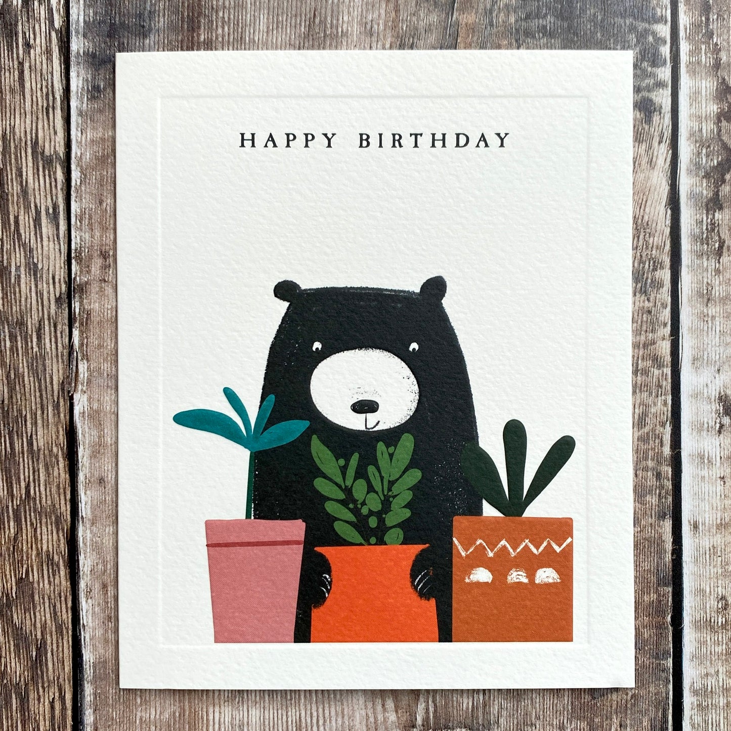 Bear and Potted Plants by Robert Reader BE22