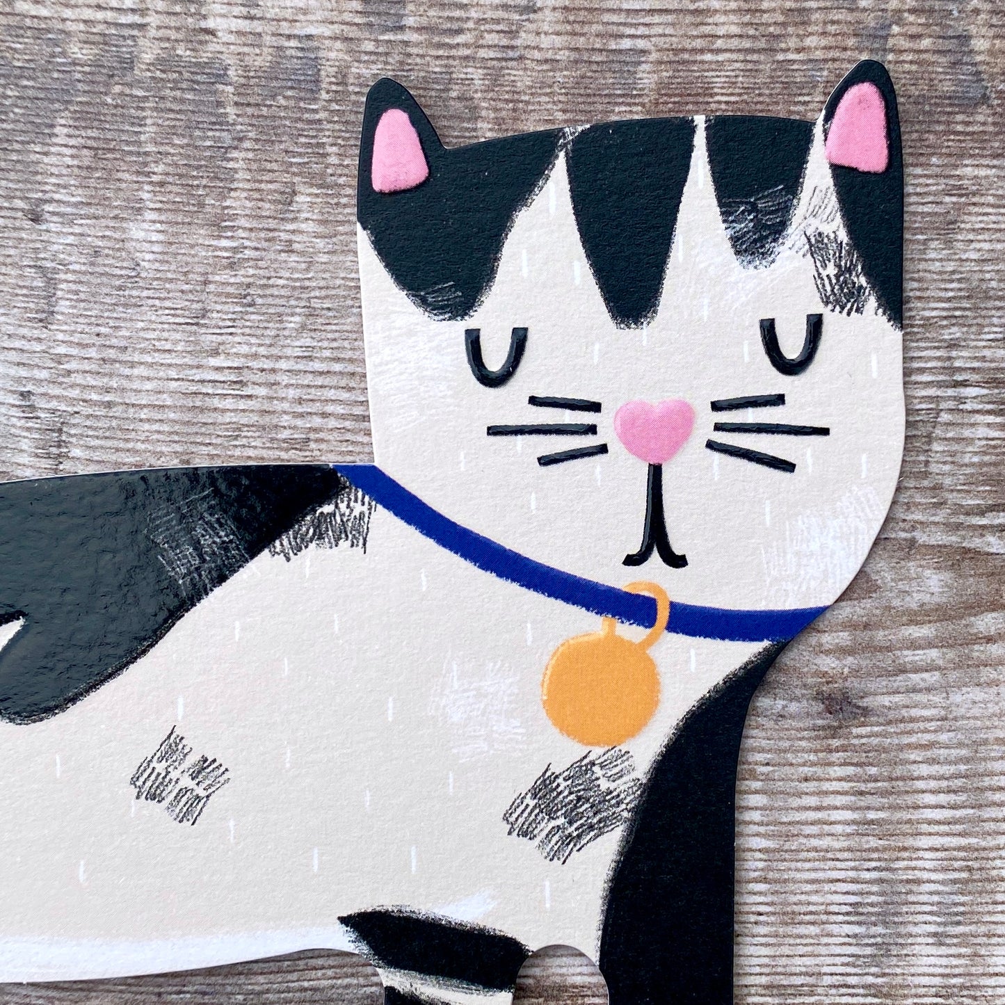 Die Cut Black and White Cat, Pawsome PAW05