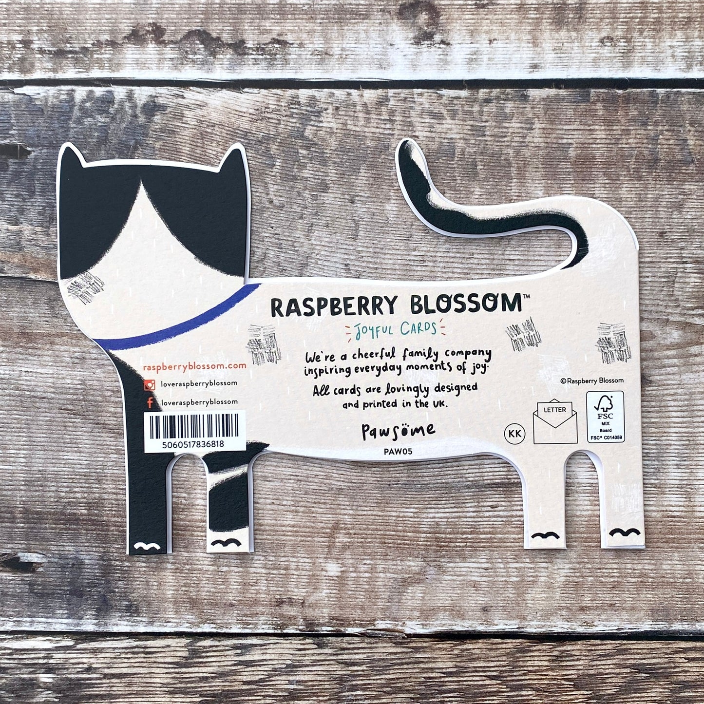 Die Cut Black and White Cat, Pawsome PAW05