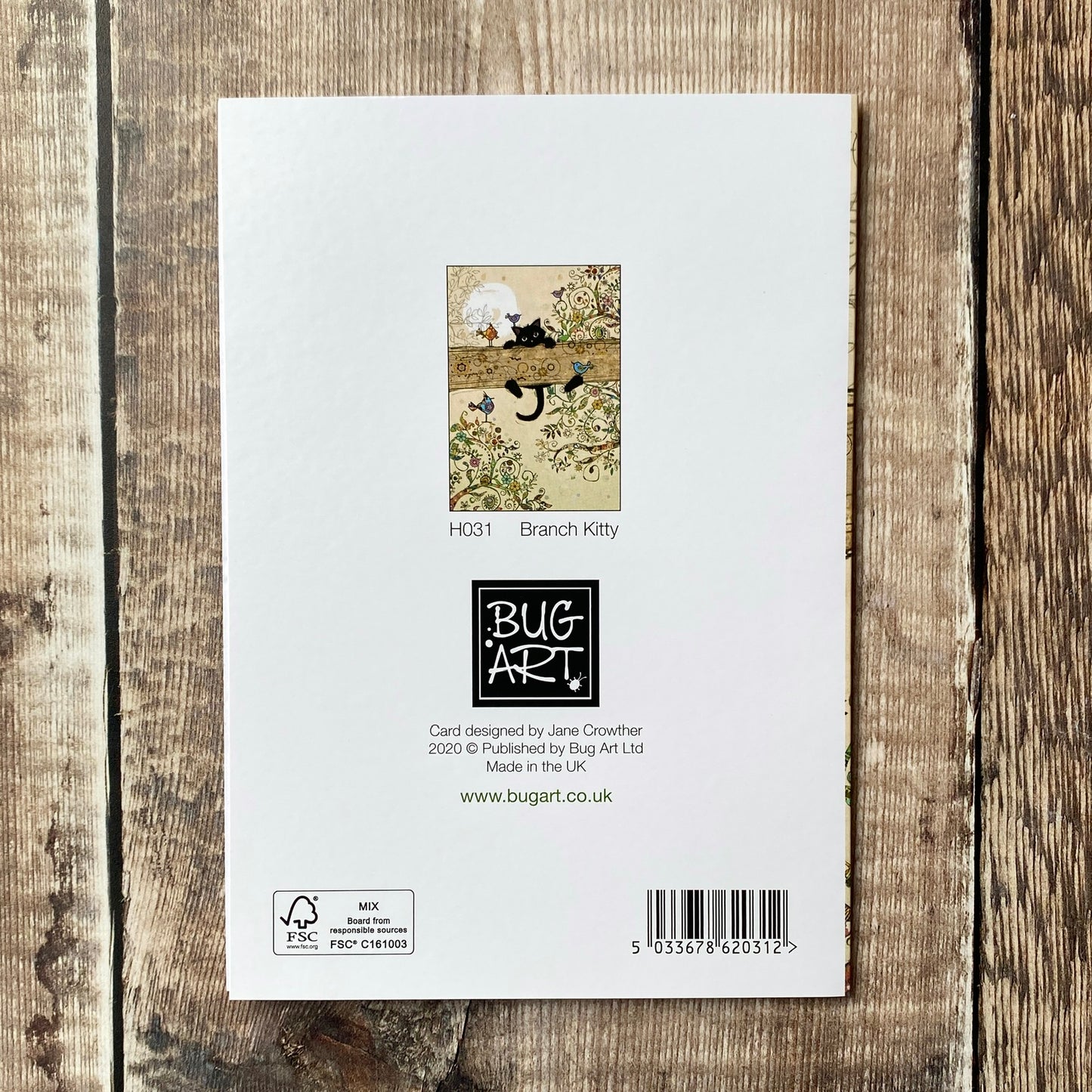 Branch Kitty by Jane Crowther H031