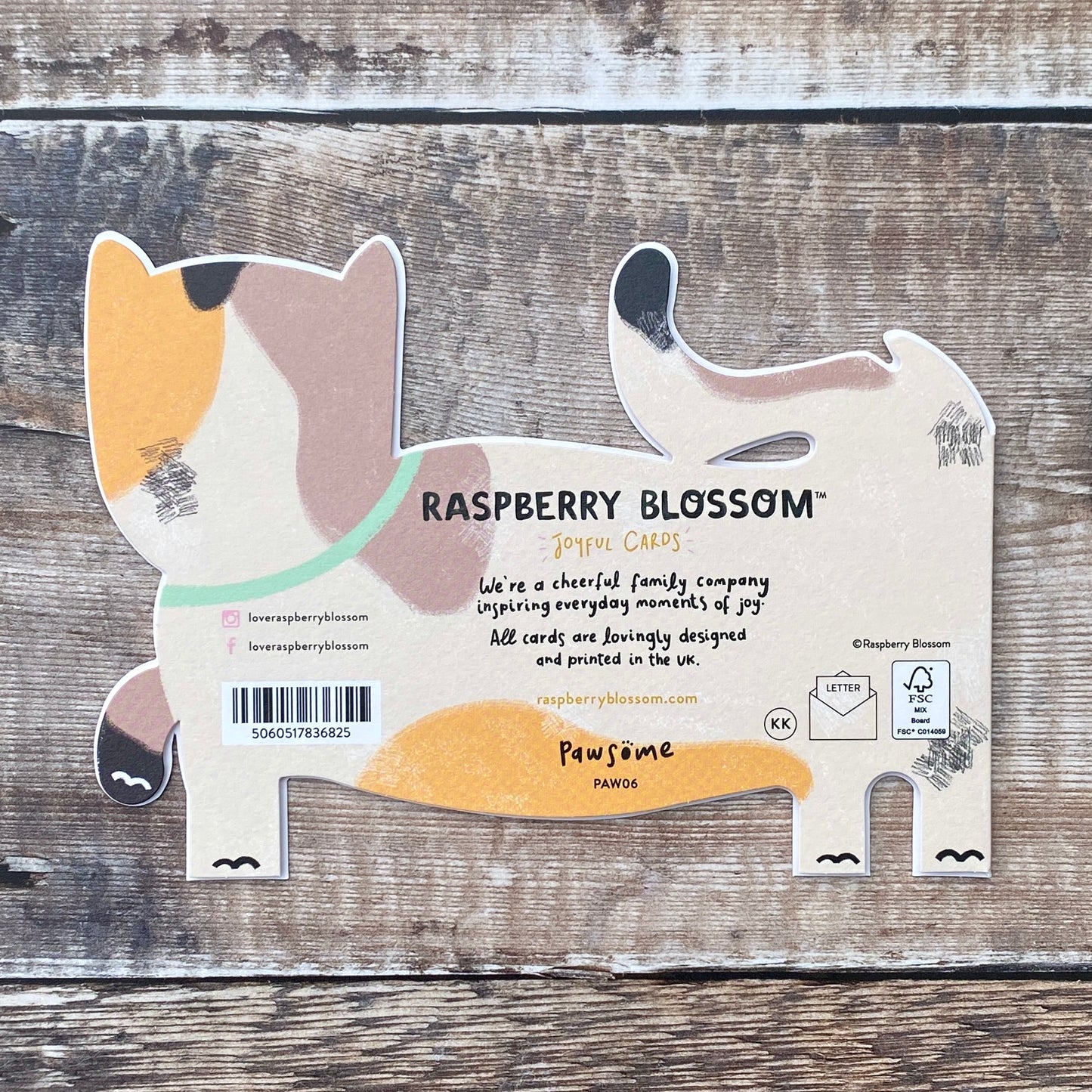 Die Cut Calico Cat, Pawsome PAW06