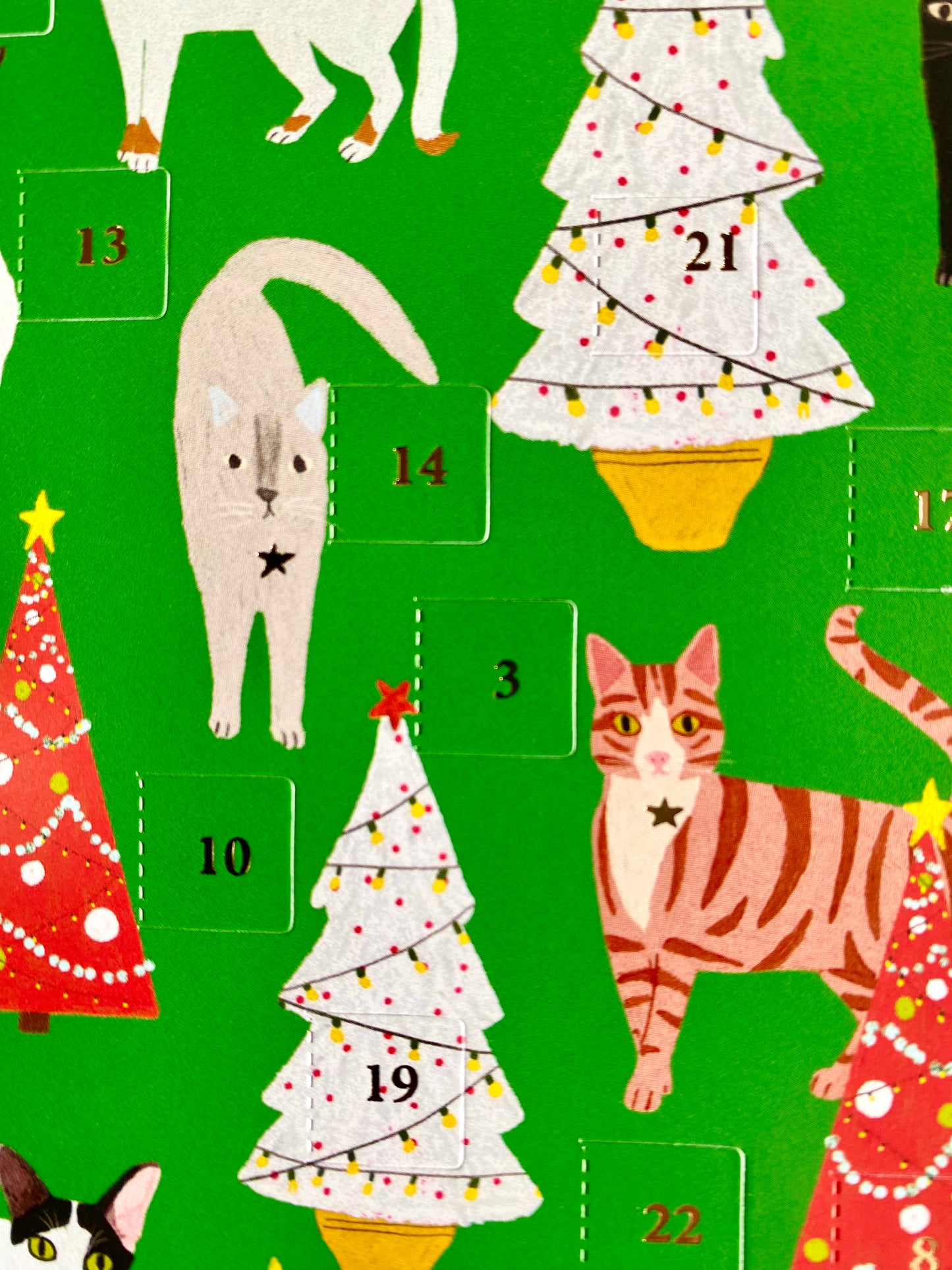 Cat Palais Mini Advent Calendar Card by Anne Bentley ACC081