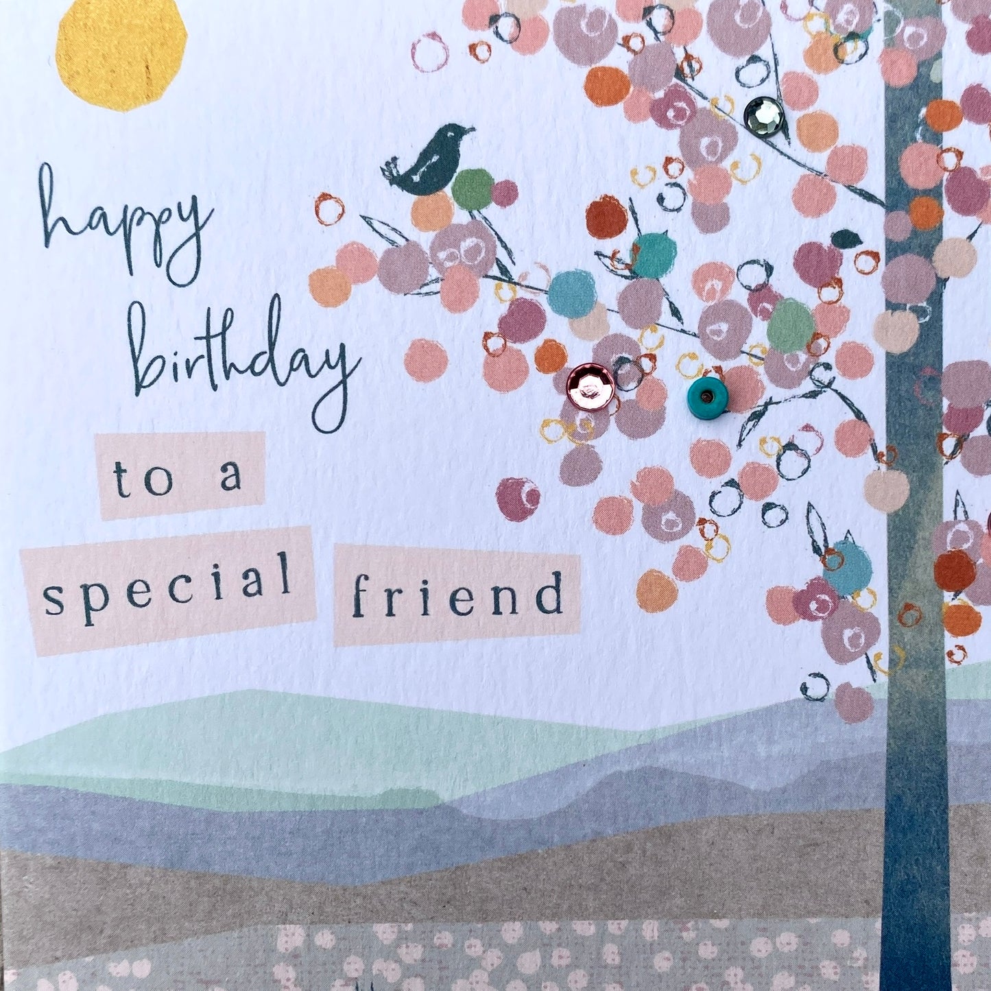 Happy Birthday Special Friend Picnic, Amelia AL13