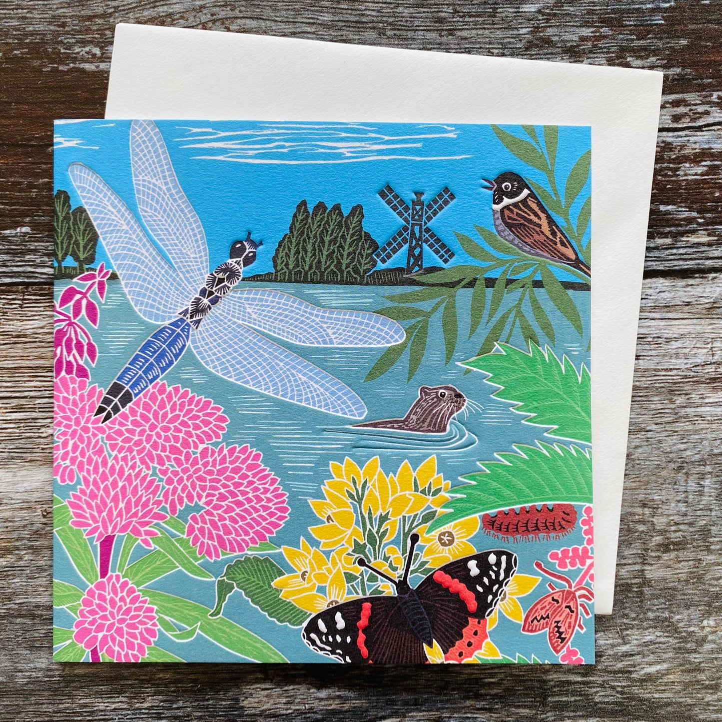 Dragonfly by Kate Heiss, Nature Trail NT24