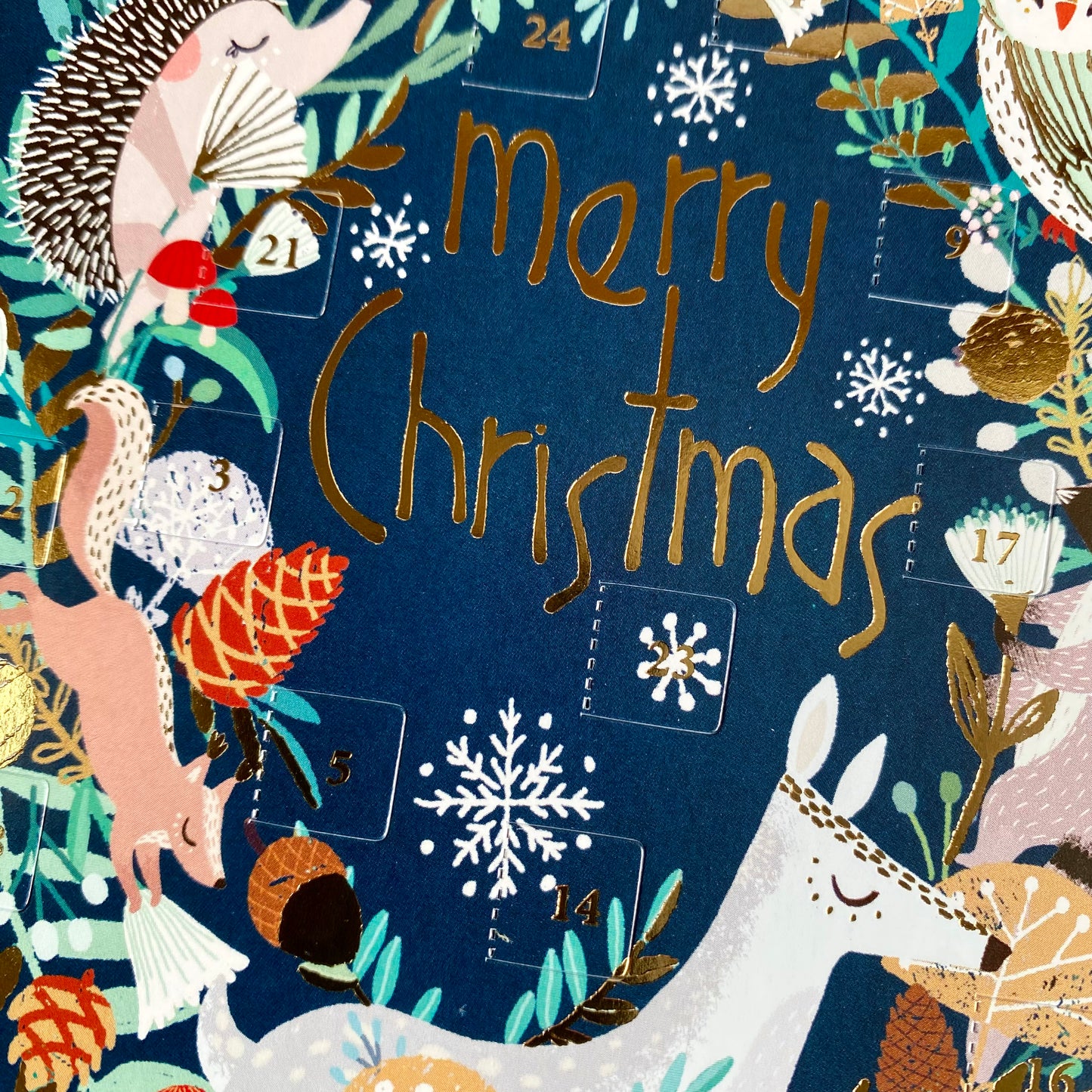Frosty Forest Animal Wreath Mini Advent Calendar Card by Antoana Oreski ACC090