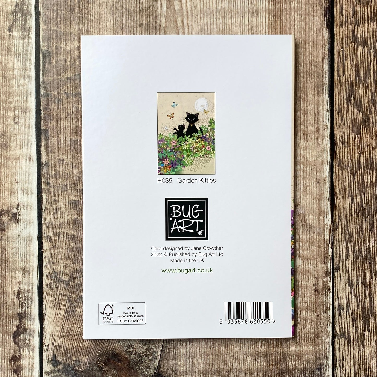 Garden Kitty by Jane Crowther H035