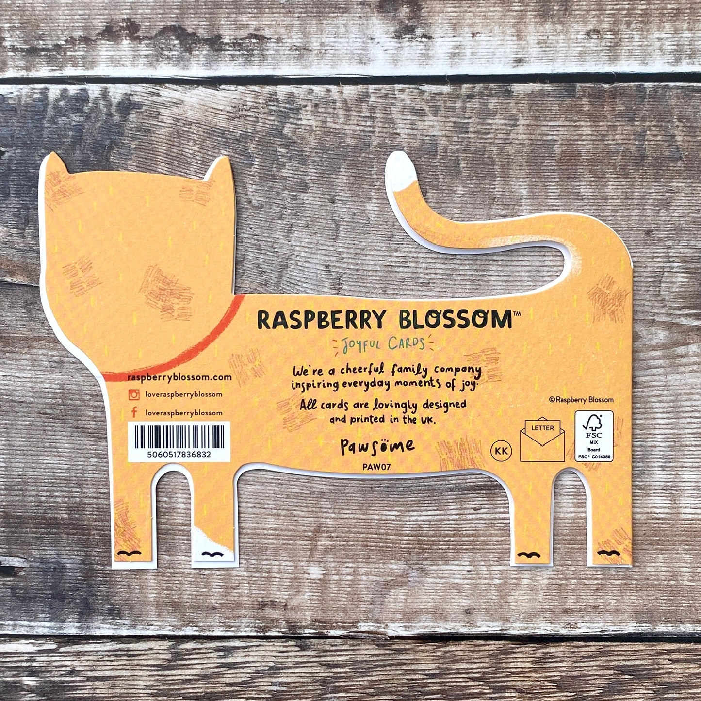 Die Cut Ginger Cat, Pawsome PAW07