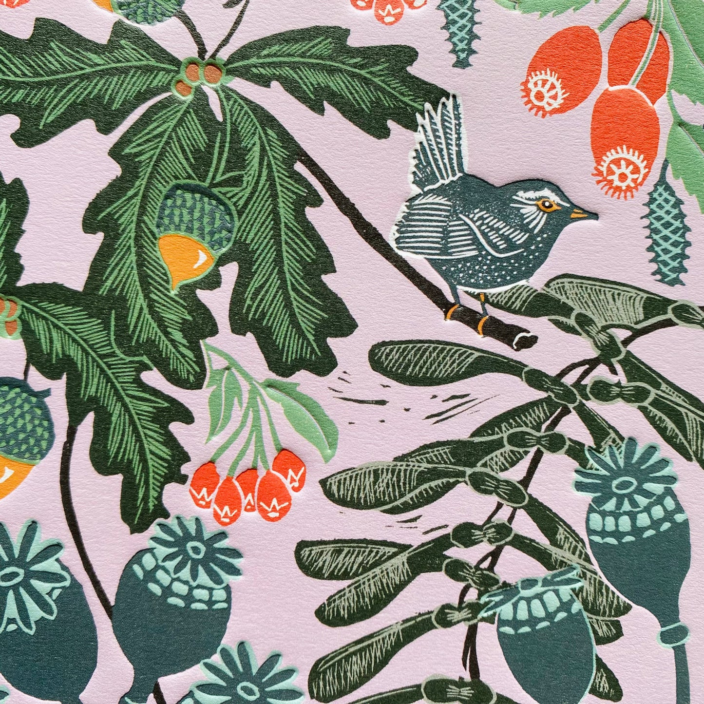 Holkham Walk by Kate Heiss, Nature Trail NT06