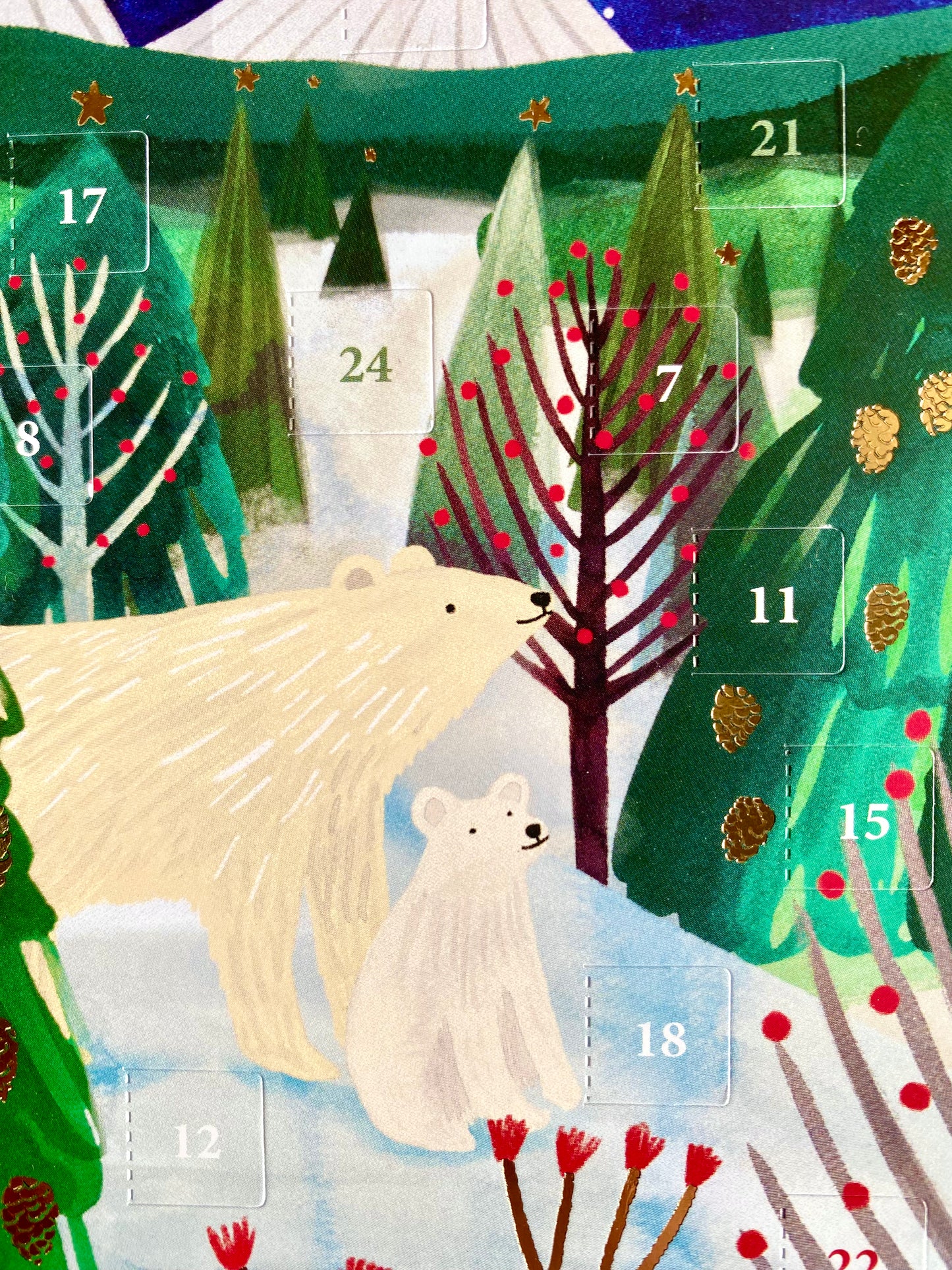 Lodestar Polar Bear Mini Advent Calendar Card by Katie Vernon ACC080
