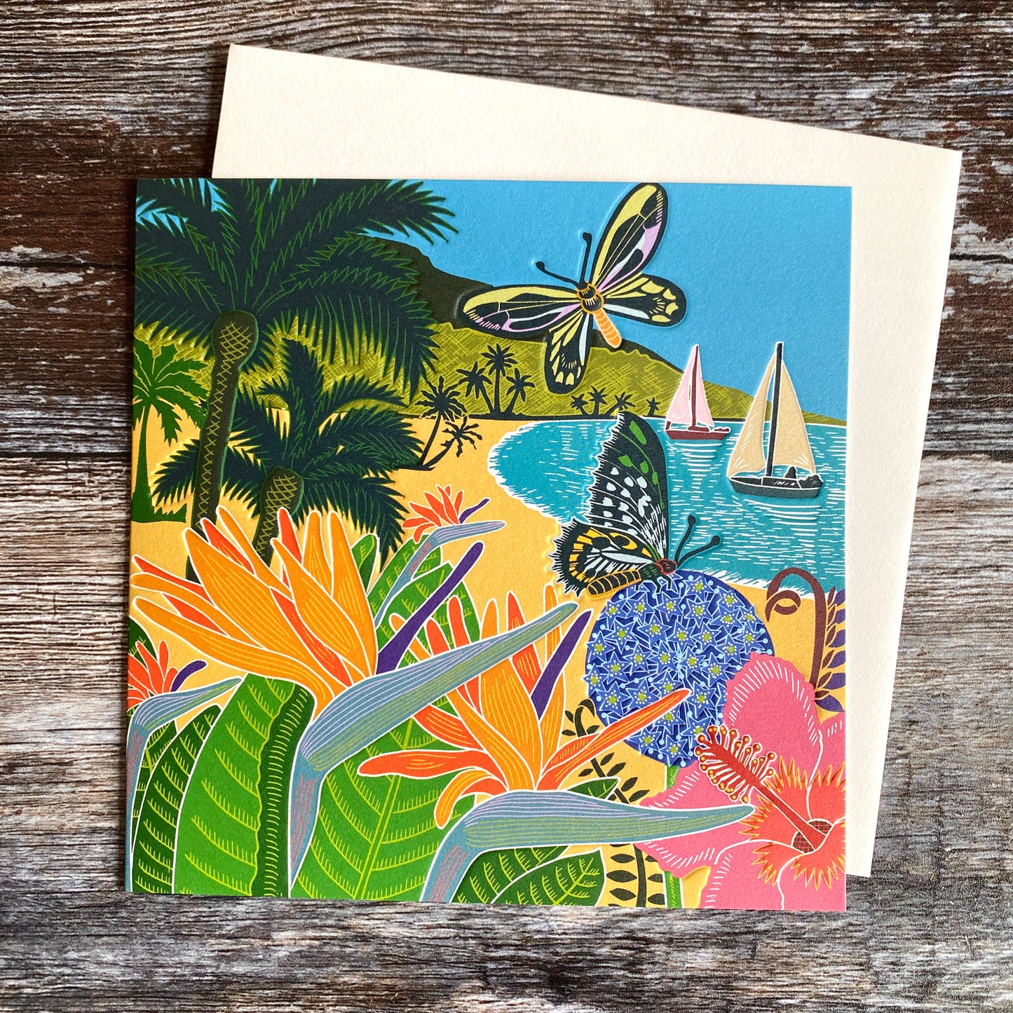 Moths and Sailing Boats by Kate Heiss, Nature Trail NT31