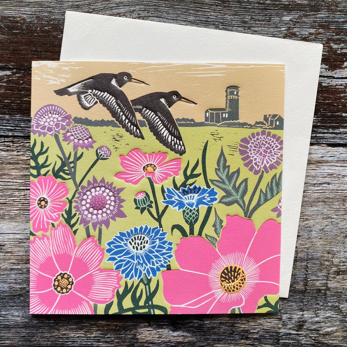 Over the Lighthouse by Kate Heiss, Nature Trail NT10