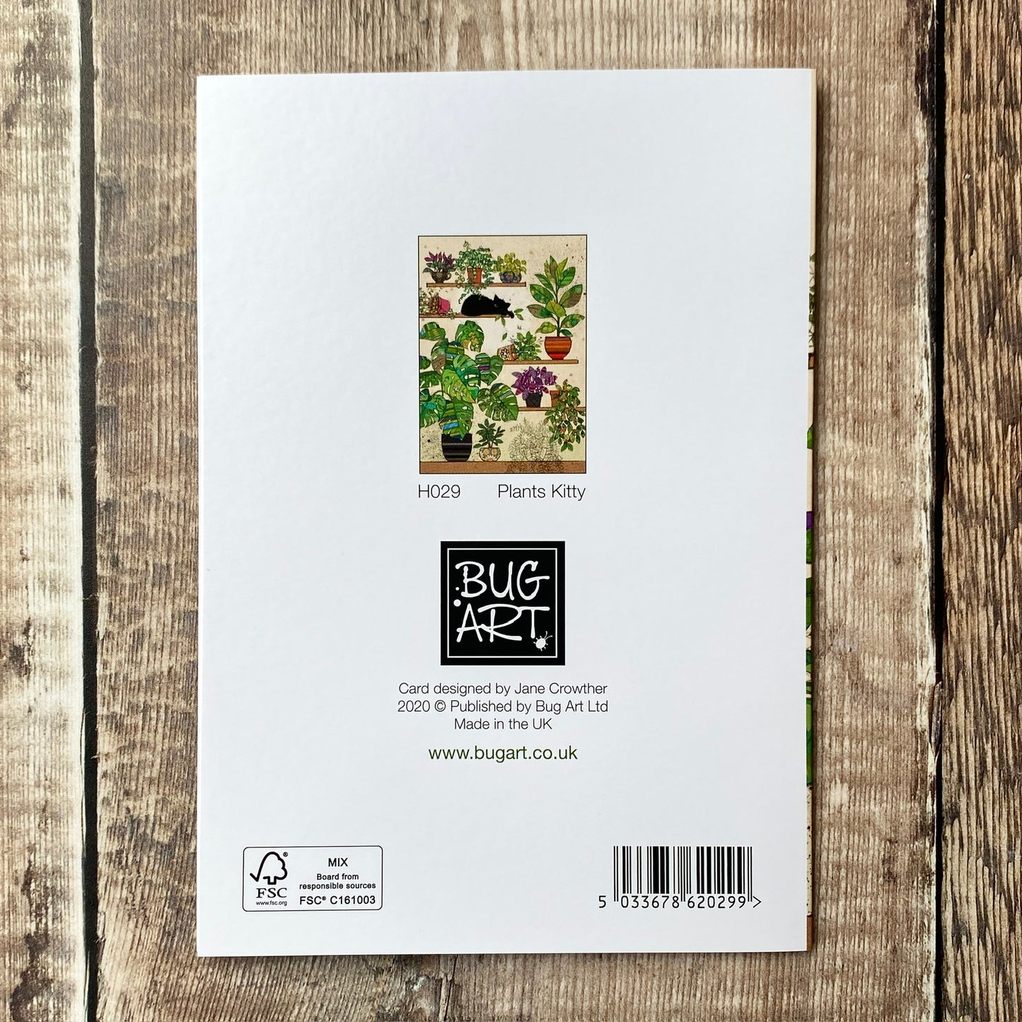 Plants Kitty by Jane Crowther H029