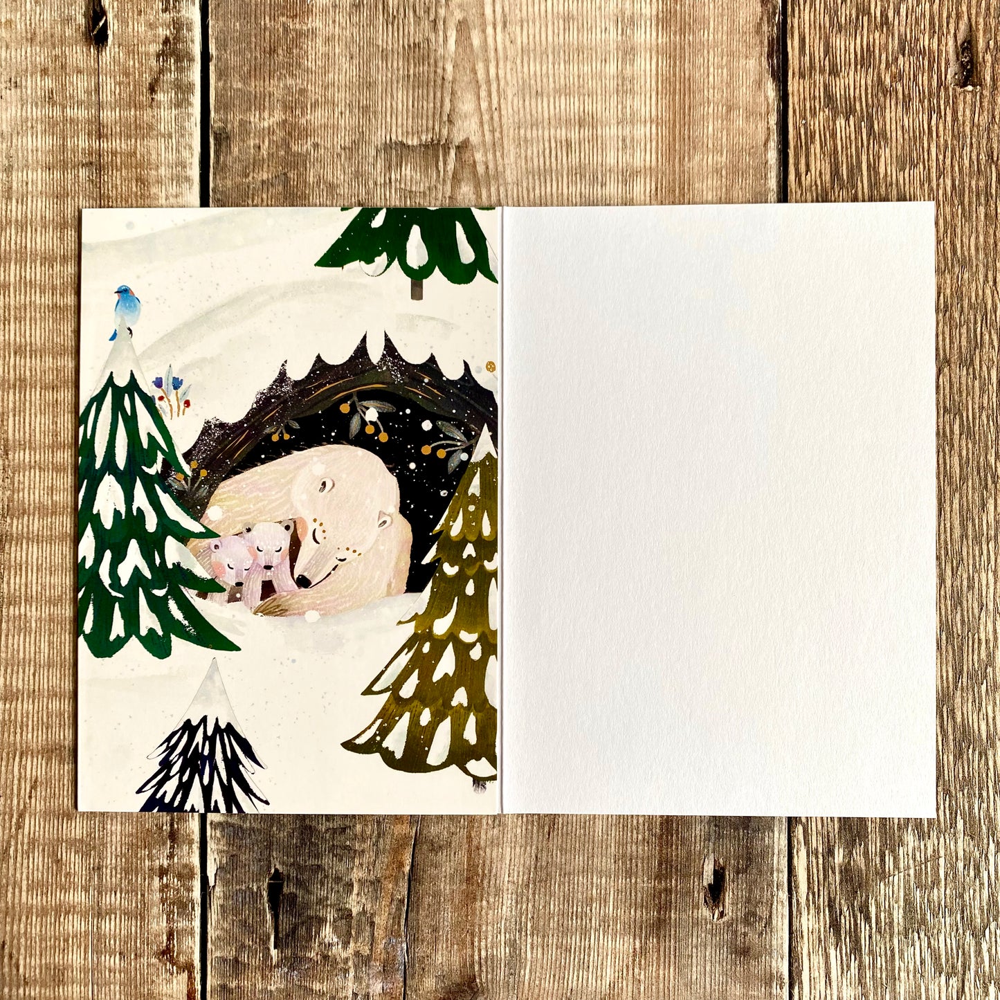 Polar Bear Mini Advent Calendar Card by Antoana Oreski ACC098