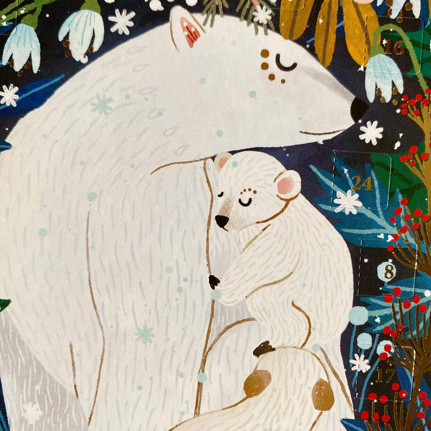 Polar Bear Mini Advent Calendar Card by Antoana Oreski ACC098