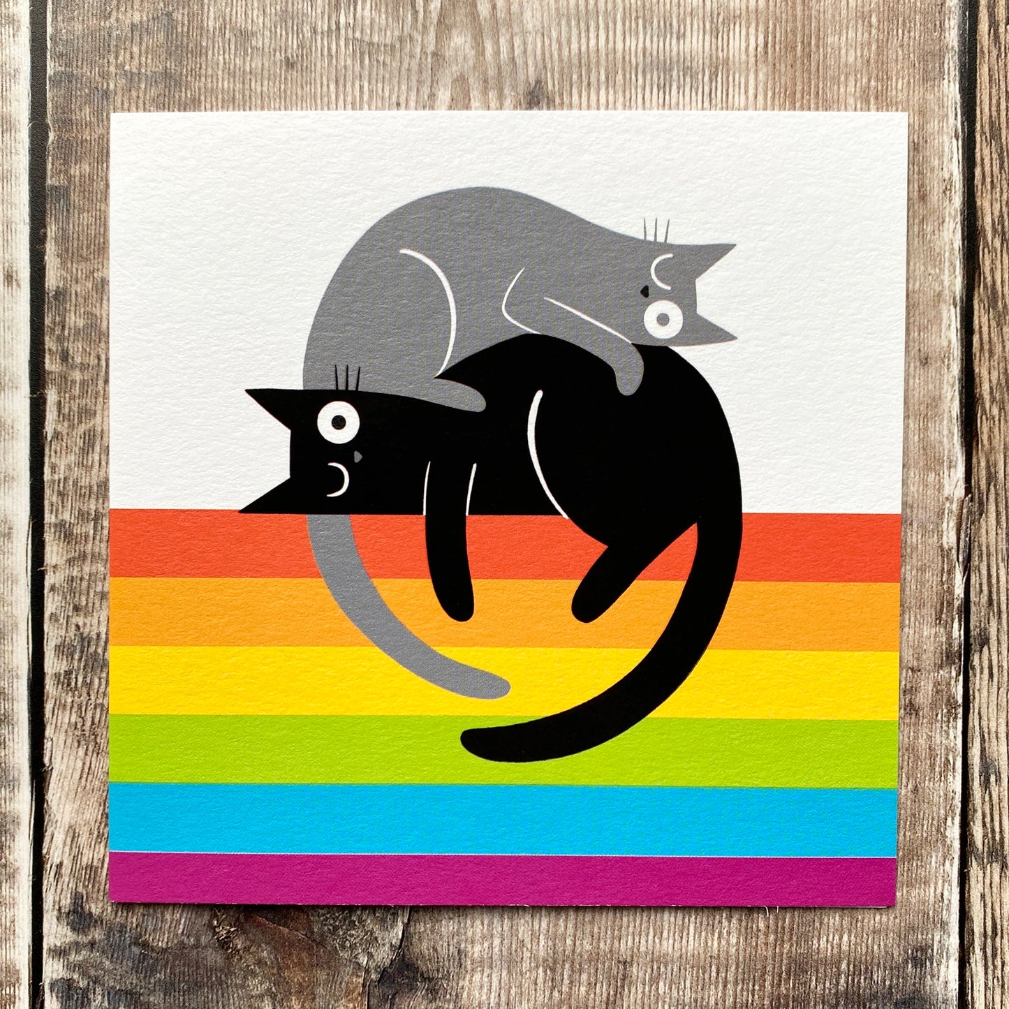 Rainbow Cats by Merle Goll CW02