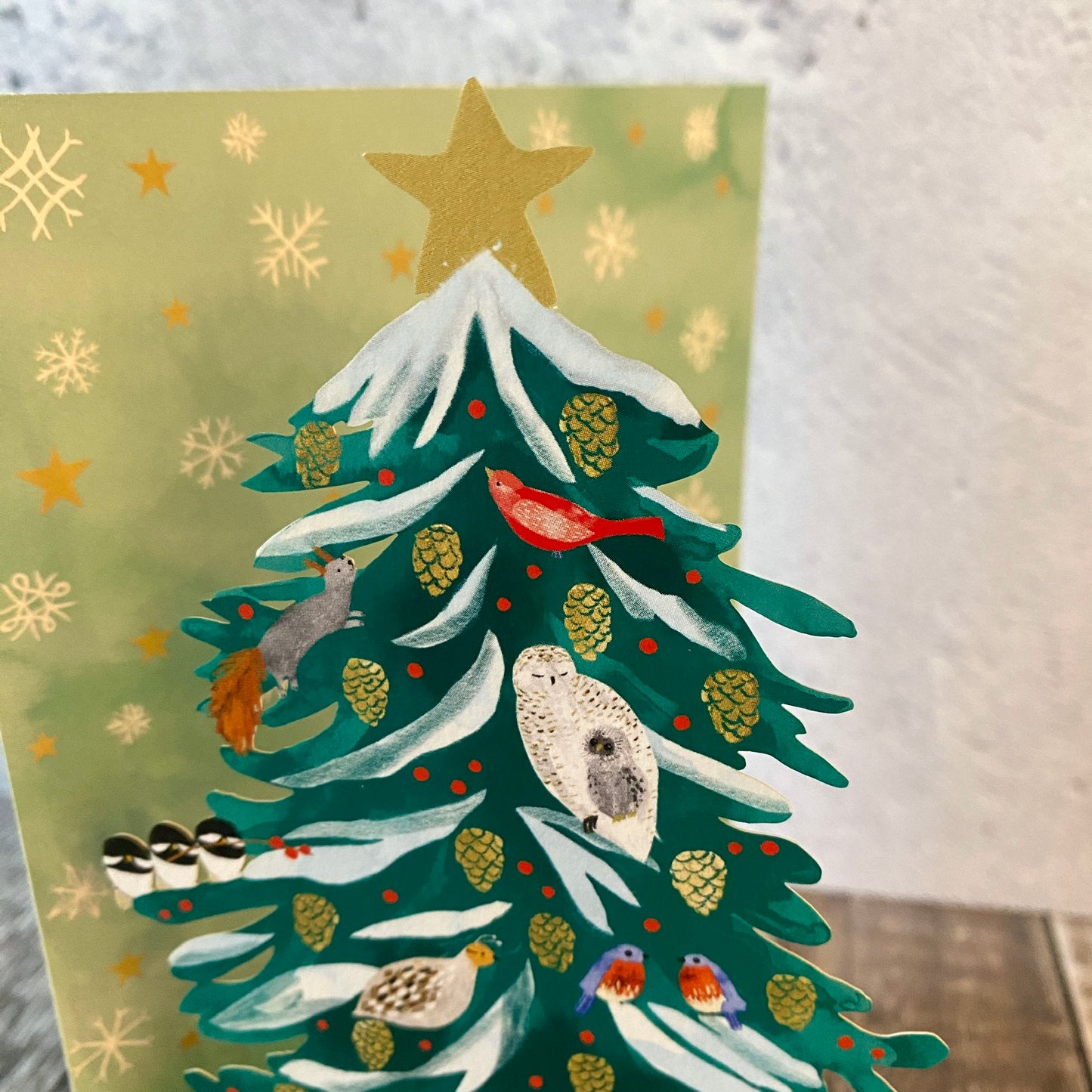 Christmas Conifer Lasercut Christmas Card by Katie Vernon GCX963