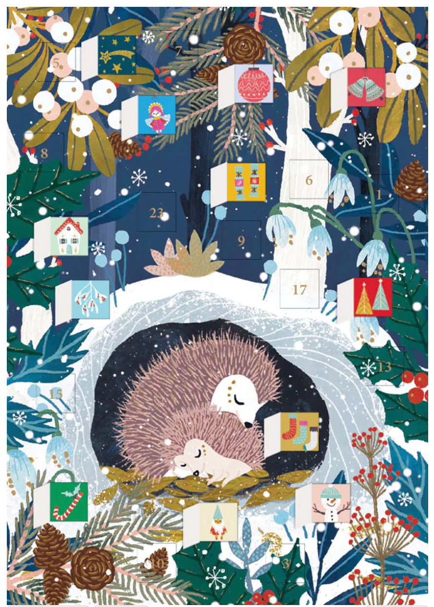 Hedgehog Hideaway Mini Advent Calendar Card by Antoana Oreski ACC088