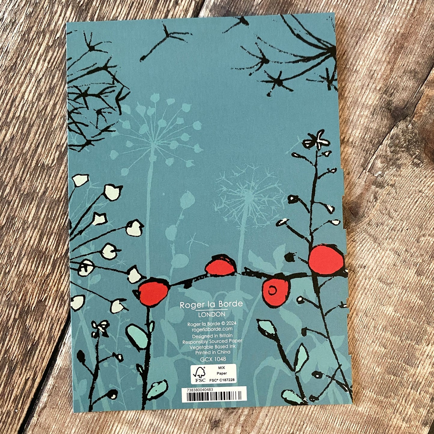 Winters Tale Robin Lasercut Christmas Card GCX1048
