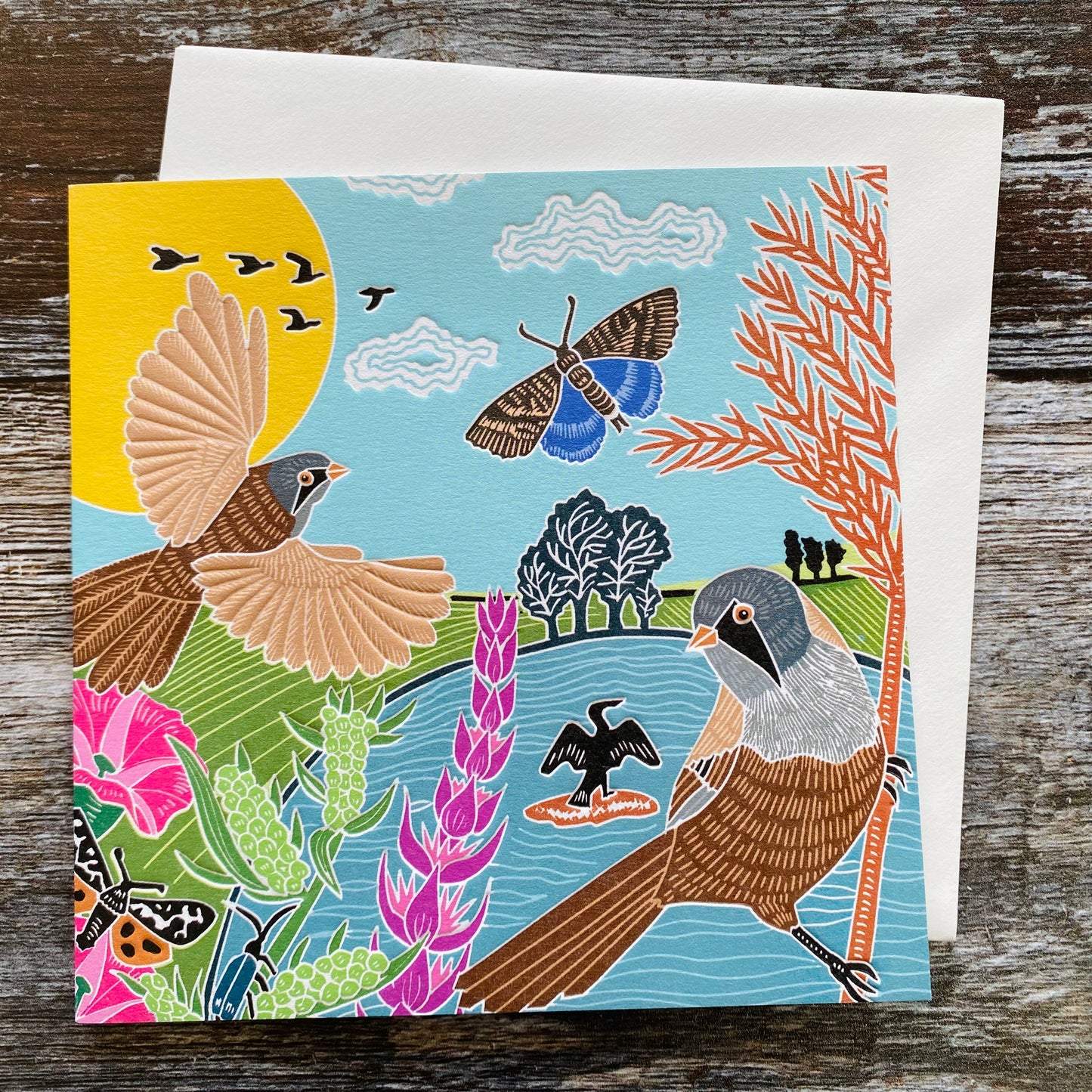 Seaside Birds, Kate Heiss, Nature Trail NT21