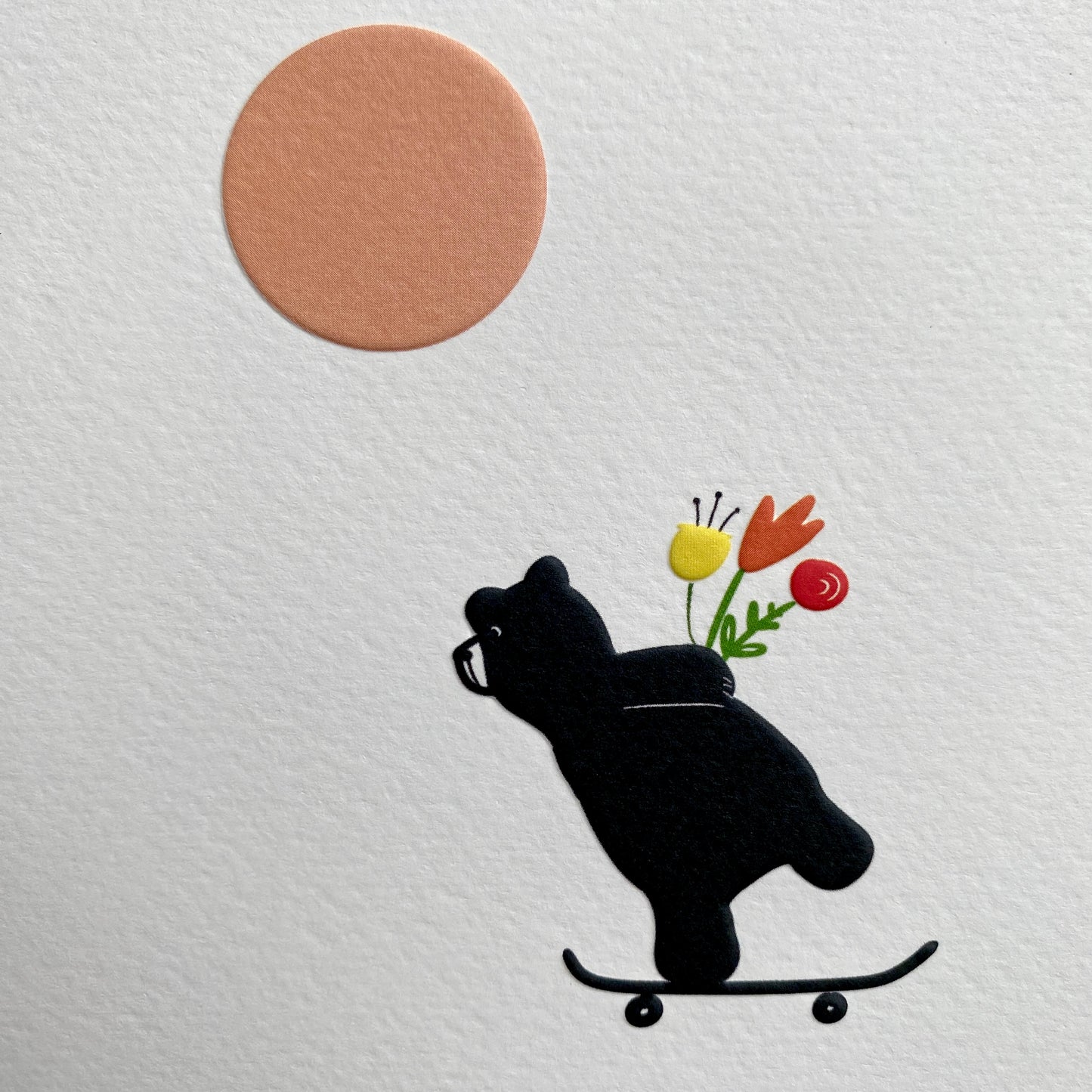 Skateboard Bear by Robert Reader BE39