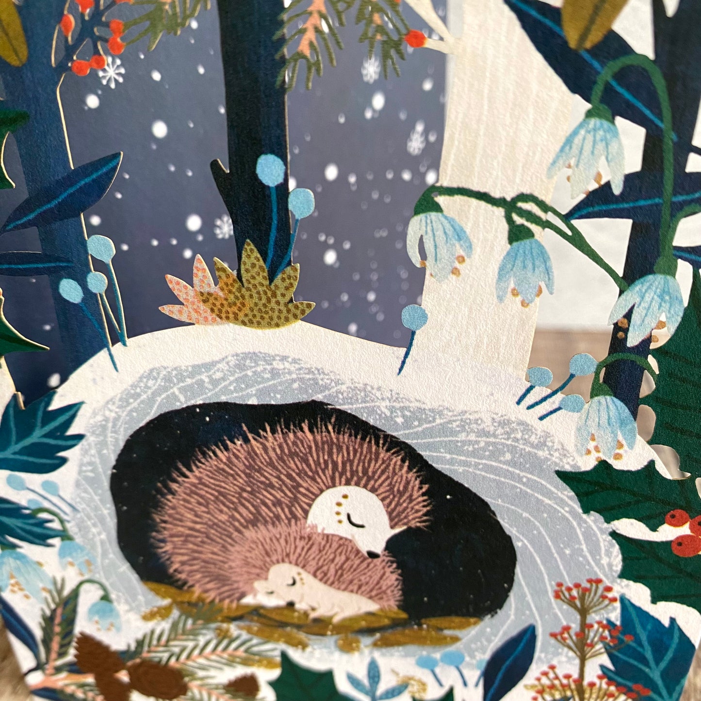Sleeping Hedgehogs Hideaway (Midnight) Lasercut Christmas Card by Antoana Oreski GCX1012