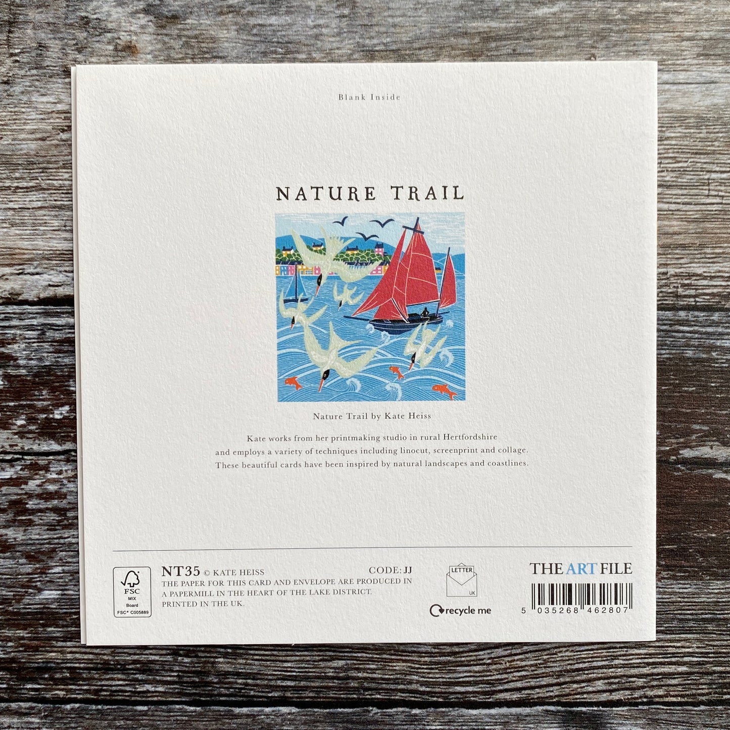 Terns on the Tide by Kate Heiss, Nature Trail NT35