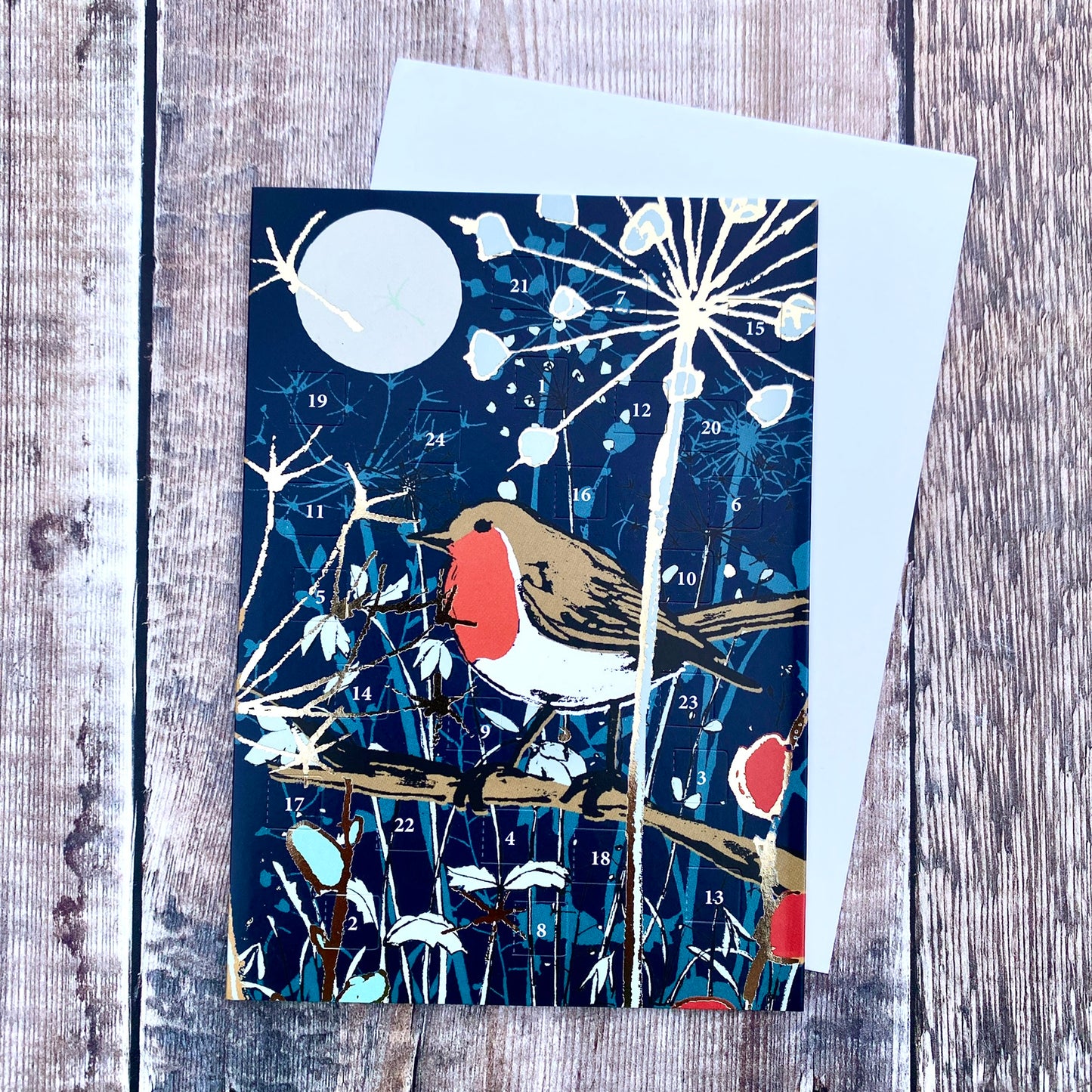 Winters Tale Robin Mini Advent Calendar Card ACC101