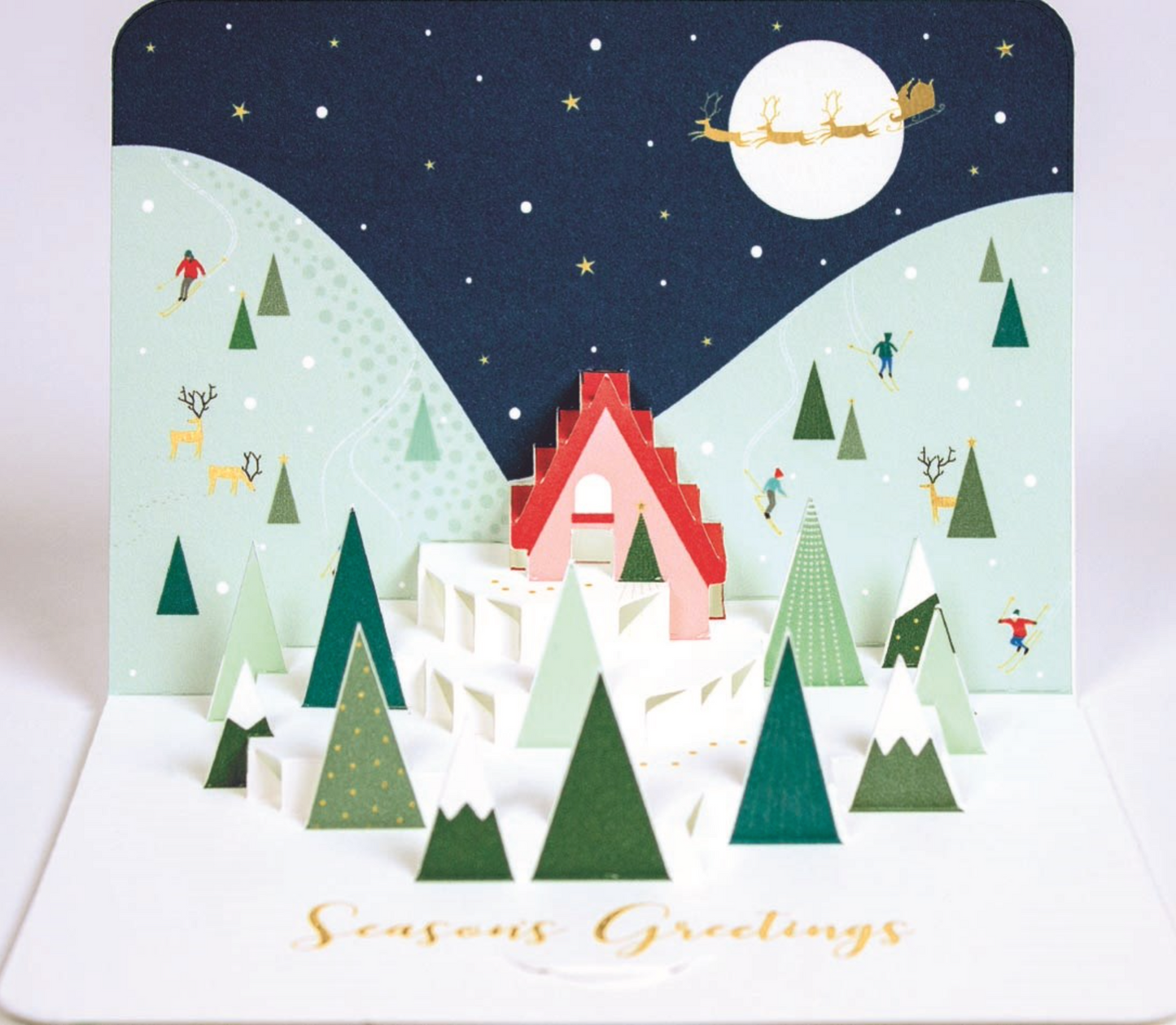 3D Skier by Form PPX25