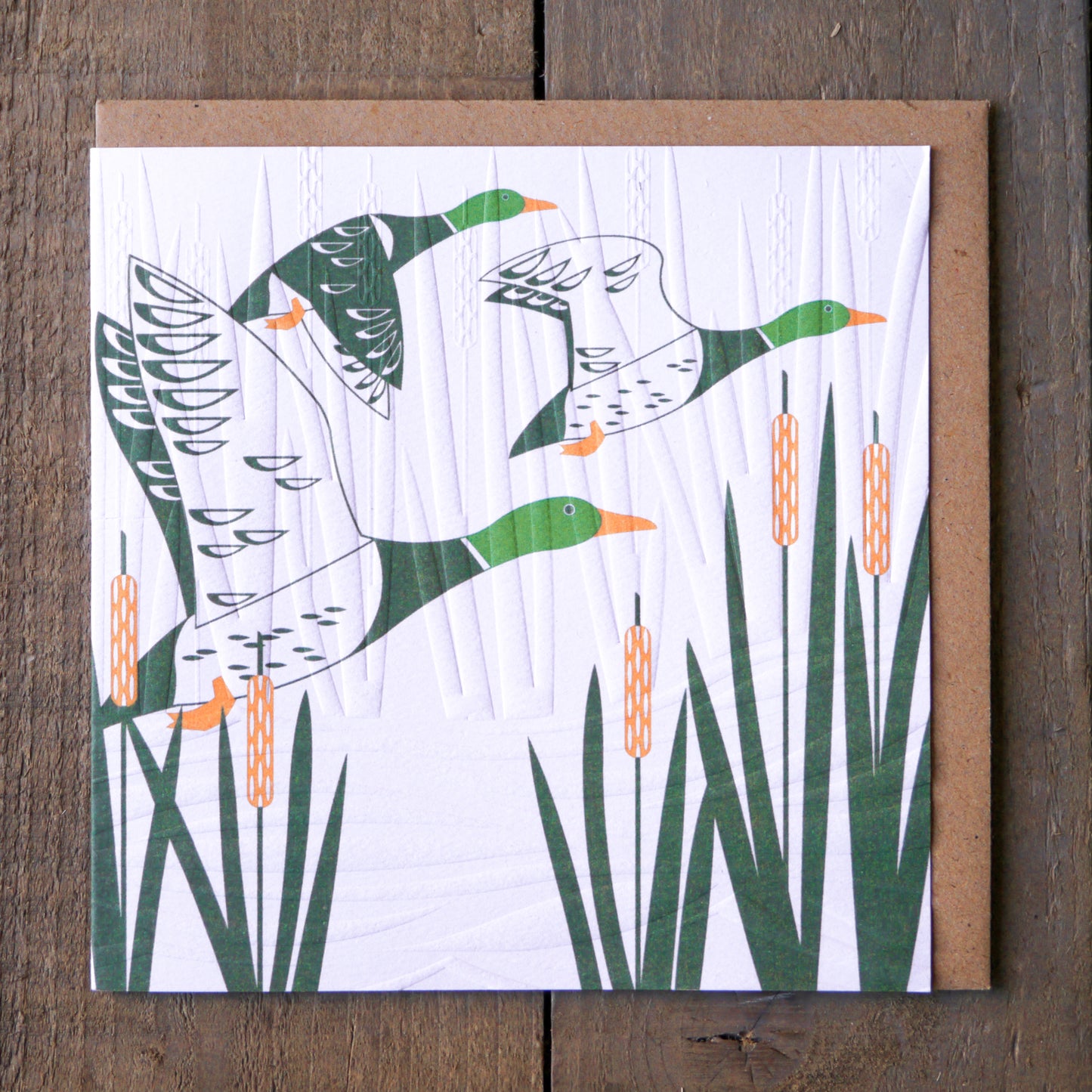 Ashley Hutchinson - Ducks LBC861