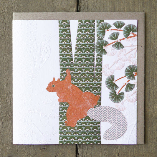 Red Squirrel, Ashley Hutchinson LWE805