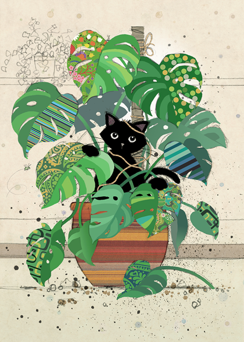 Monstera Kitty by Jane Crowther H038