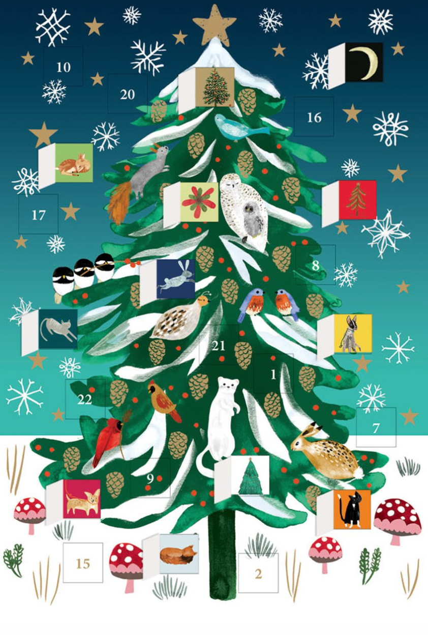 Christmas Conifer Mini Advent Calendar Card by Katie Vernon ACC079