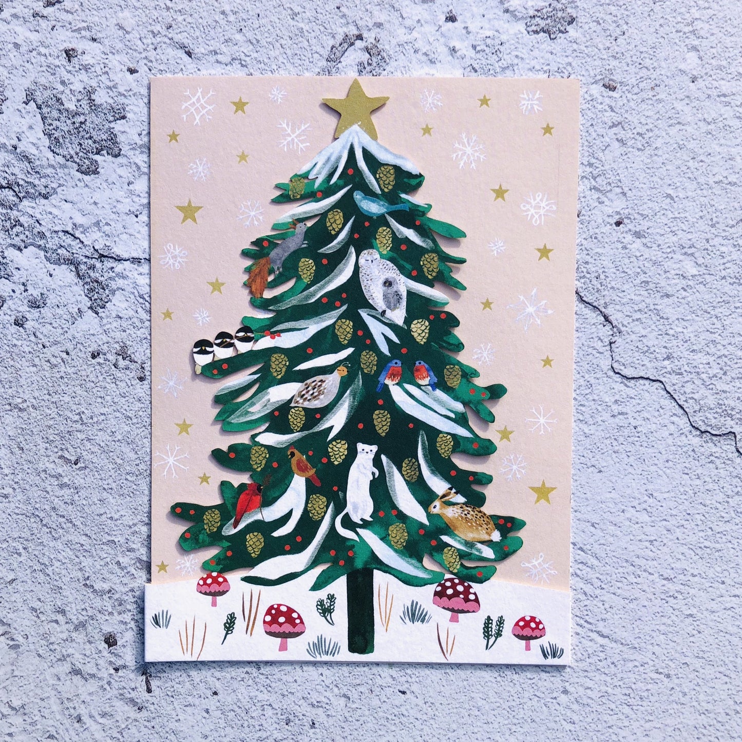 Christmas Conifer Lasercut Christmas Card by Katie Vernon GCX963