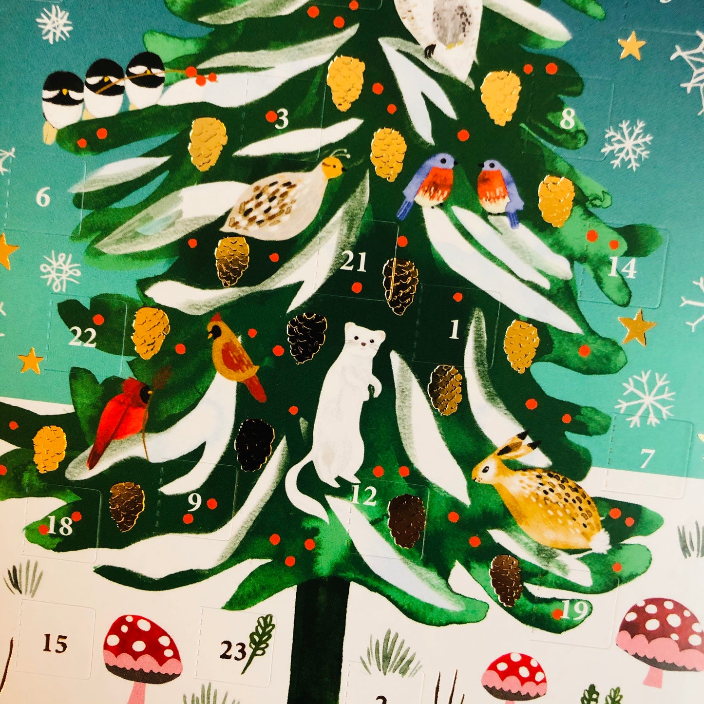 Christmas Conifer Mini Advent Calendar Card by Katie Vernon ACC079