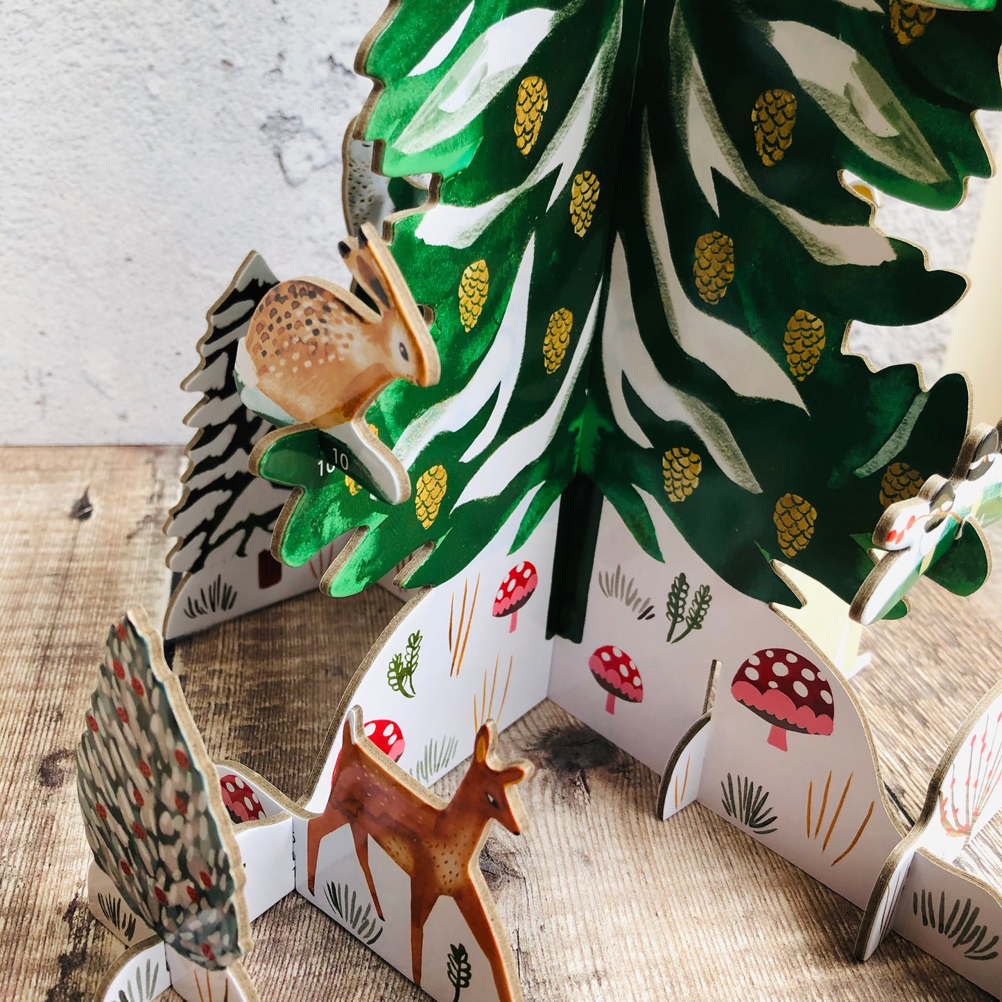 Christmas Conifer Pop and Slot Advent Calendar POP074