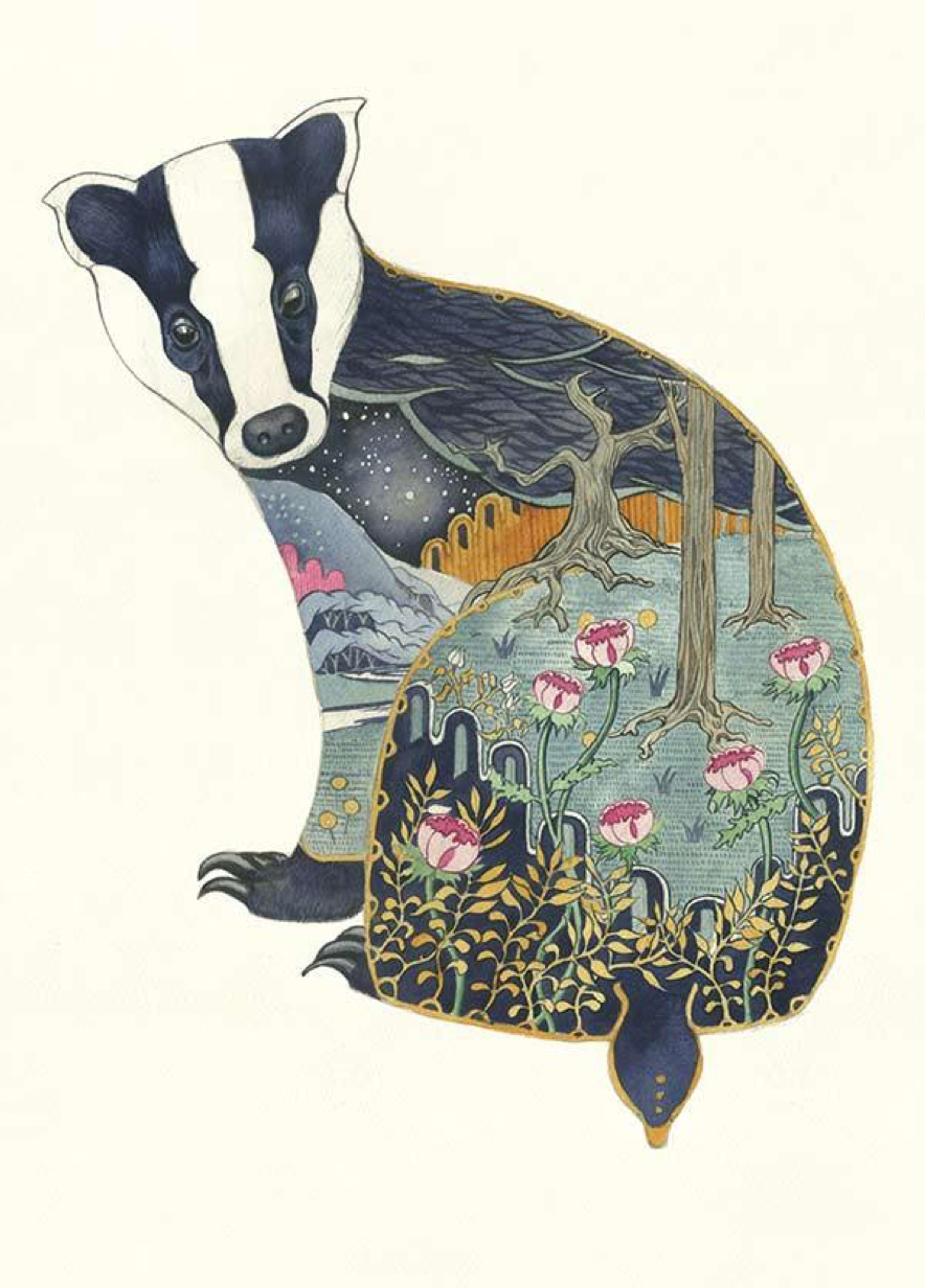 Badger, Daniel Mackie A024