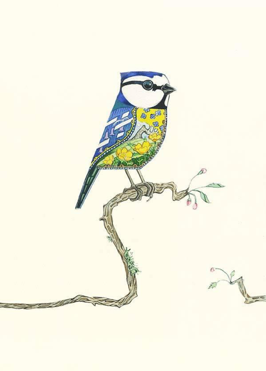 Bluetit, Daniel Mackie A047