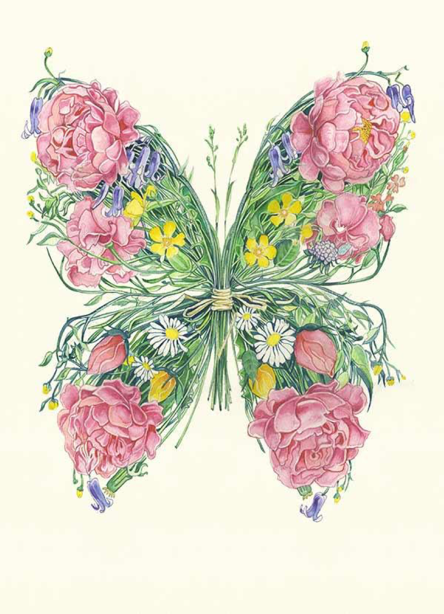 Butterfly, Daniel Mackie A063