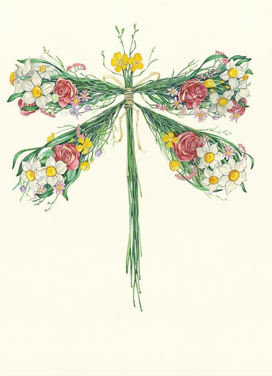 Dragonfly, Daniel Mackie A065