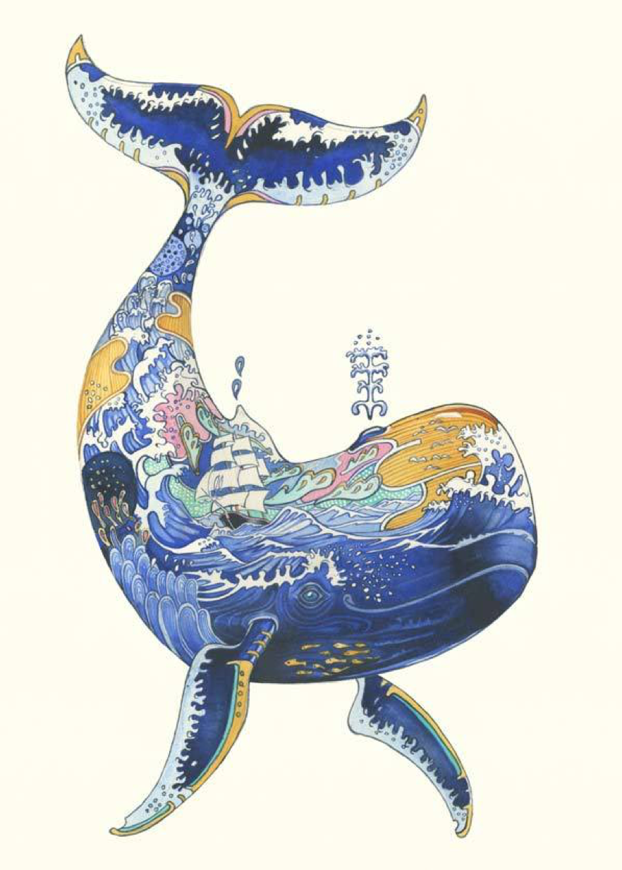 Whale, Daniel Mackie A095