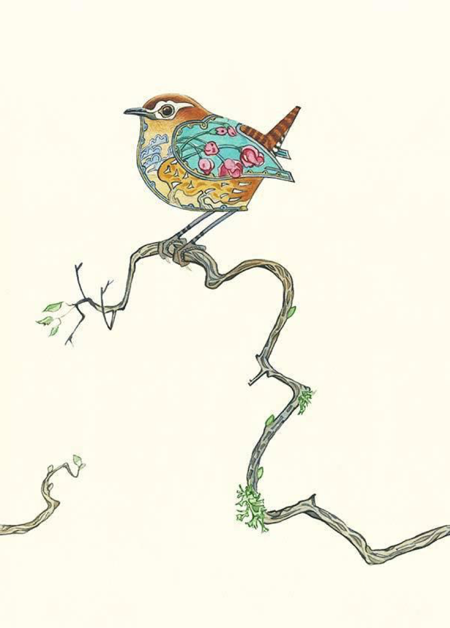 Wren, Daniel Mackie A048
