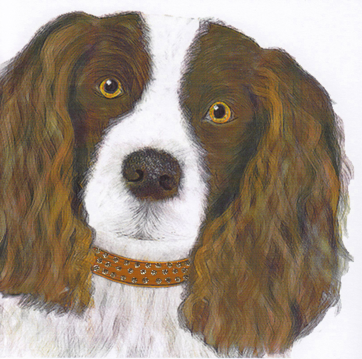Springer Spaniel, Heather Martin 362W