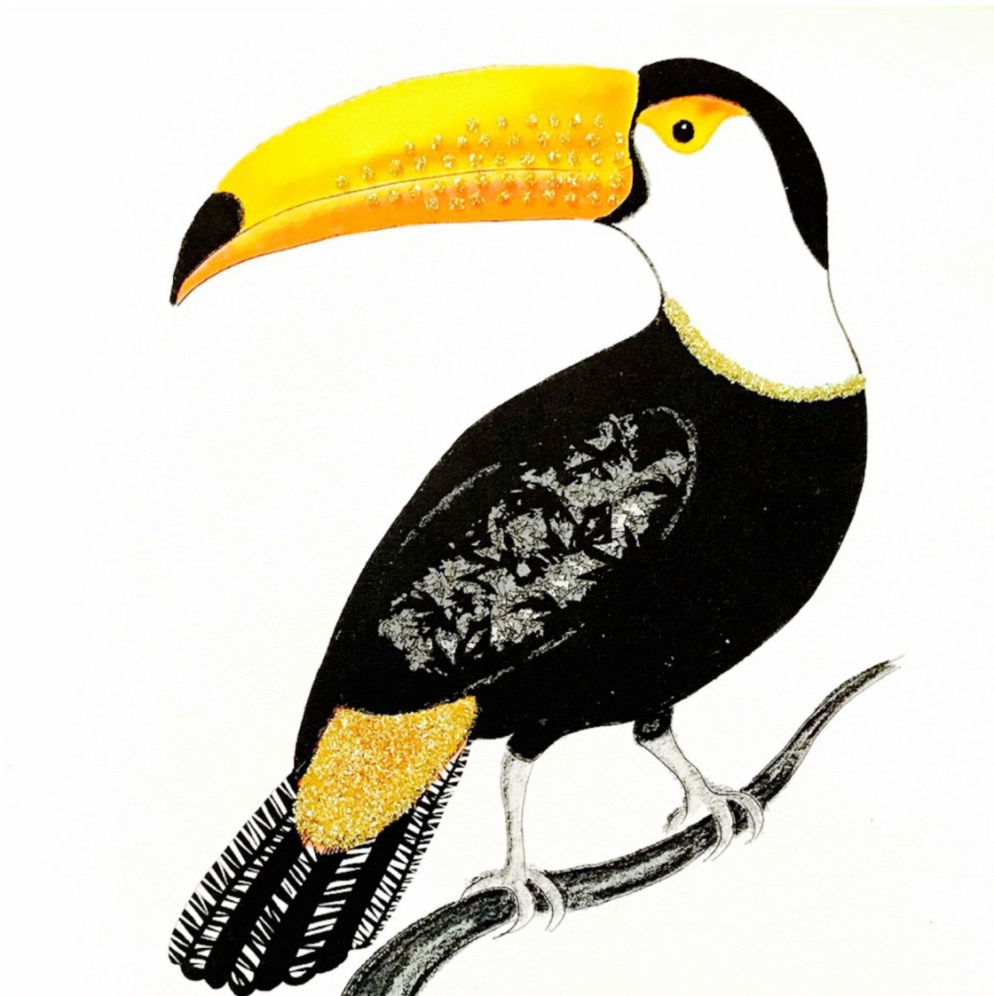 Toucan, Heather Martin 388G
