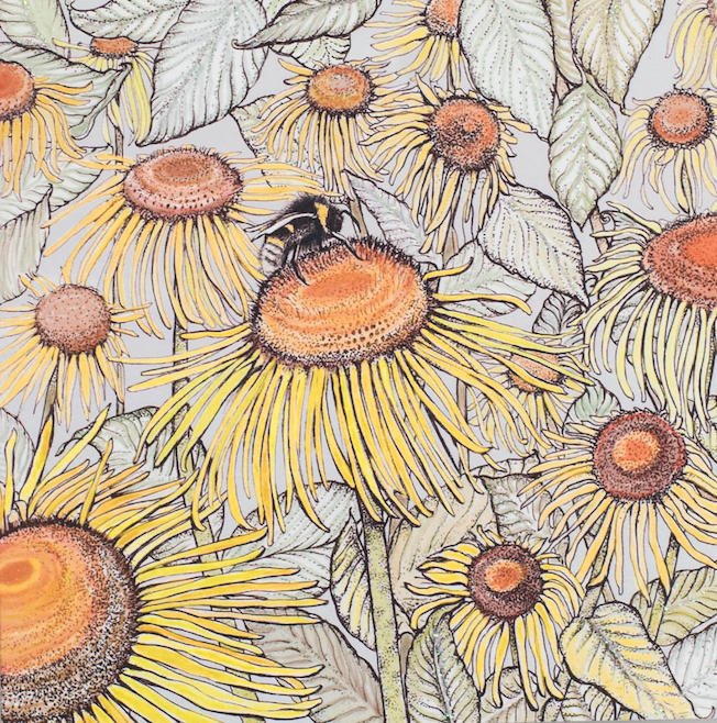 Bumblebee, In The Wild, TW80
