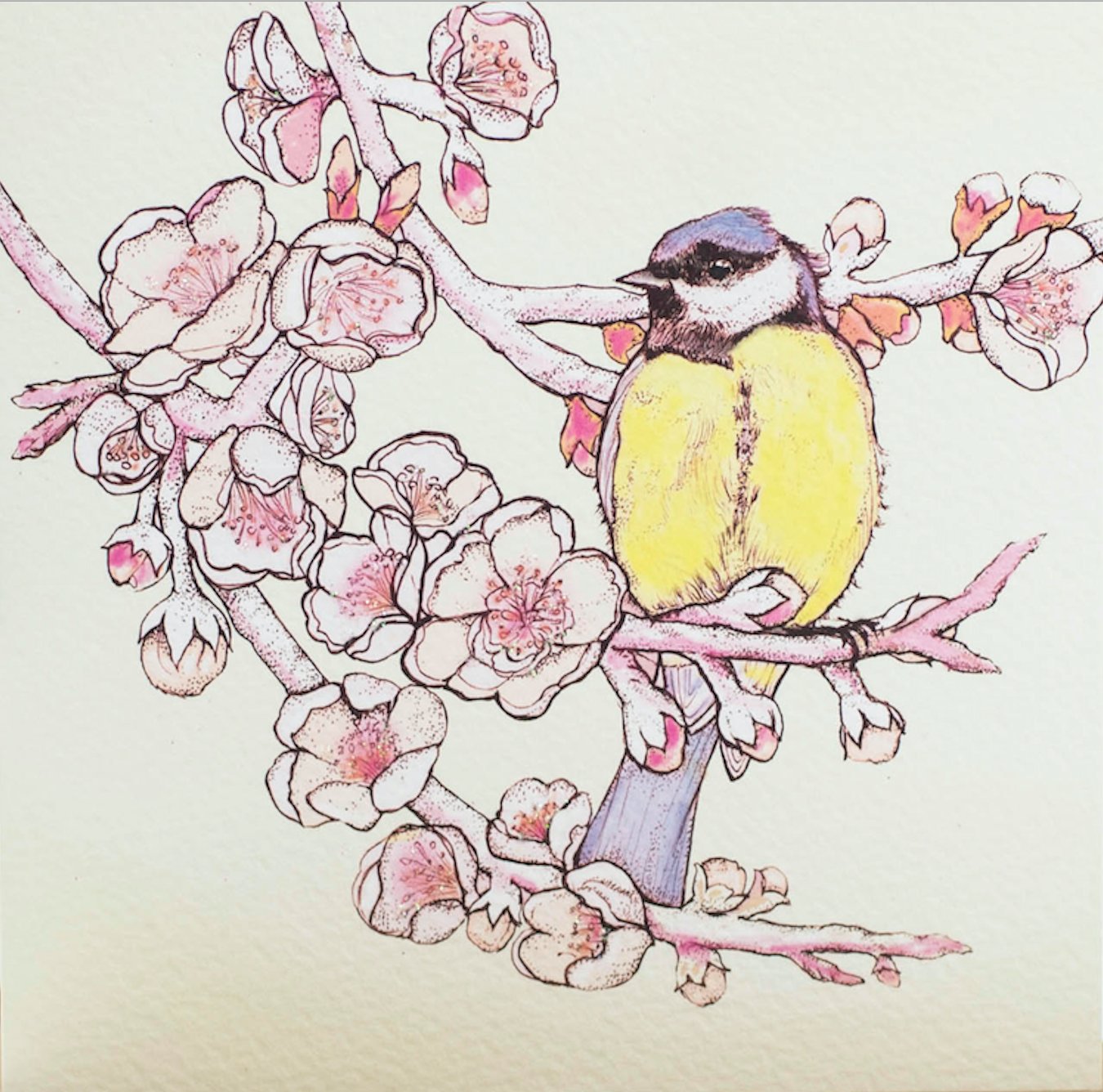 Blue Tit and Blossom, In The Wild, TW70