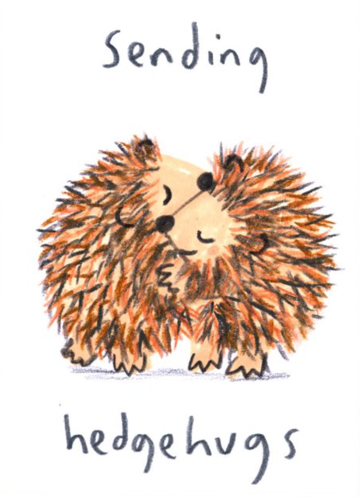 Sending Hedgehugs, Hedghugs HG001