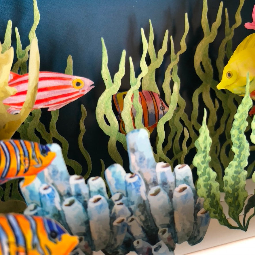 Message in a Bottle 3D Card - Tropical Fish MIB048