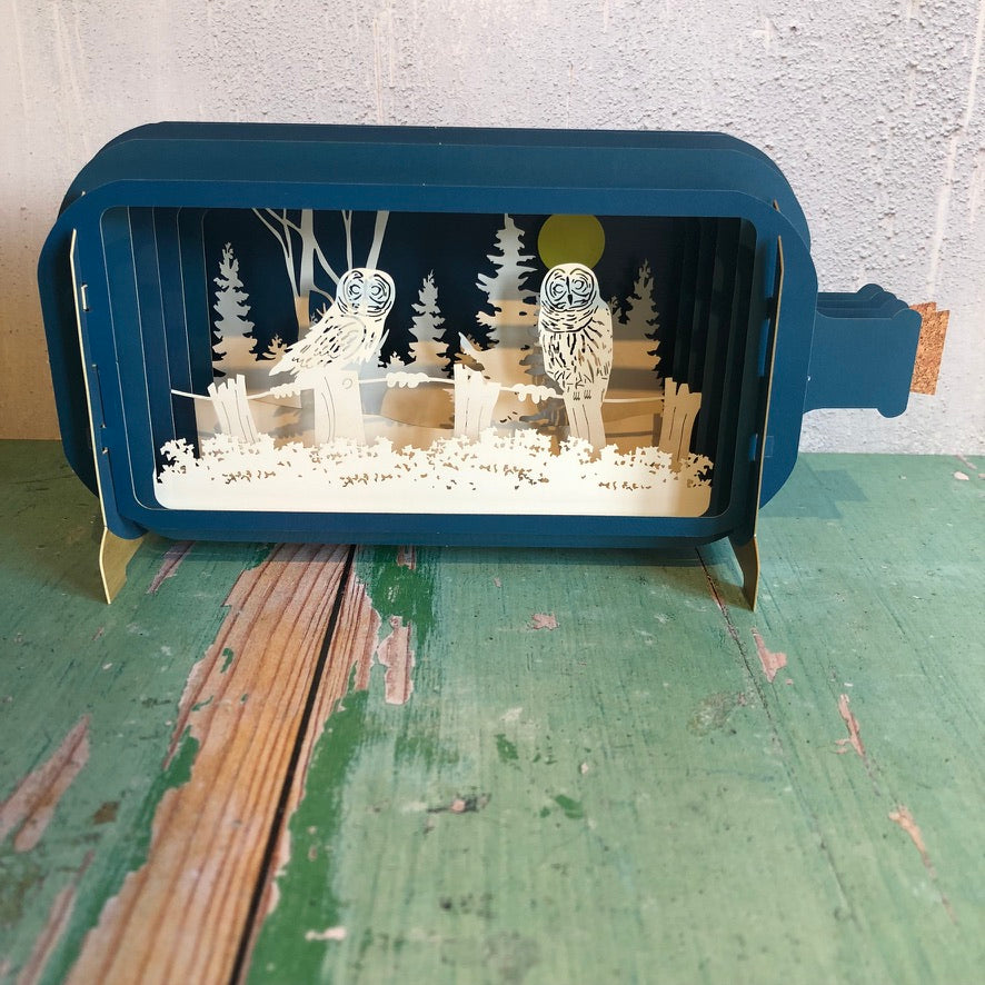 Message in a Bottle 3D Card Owls