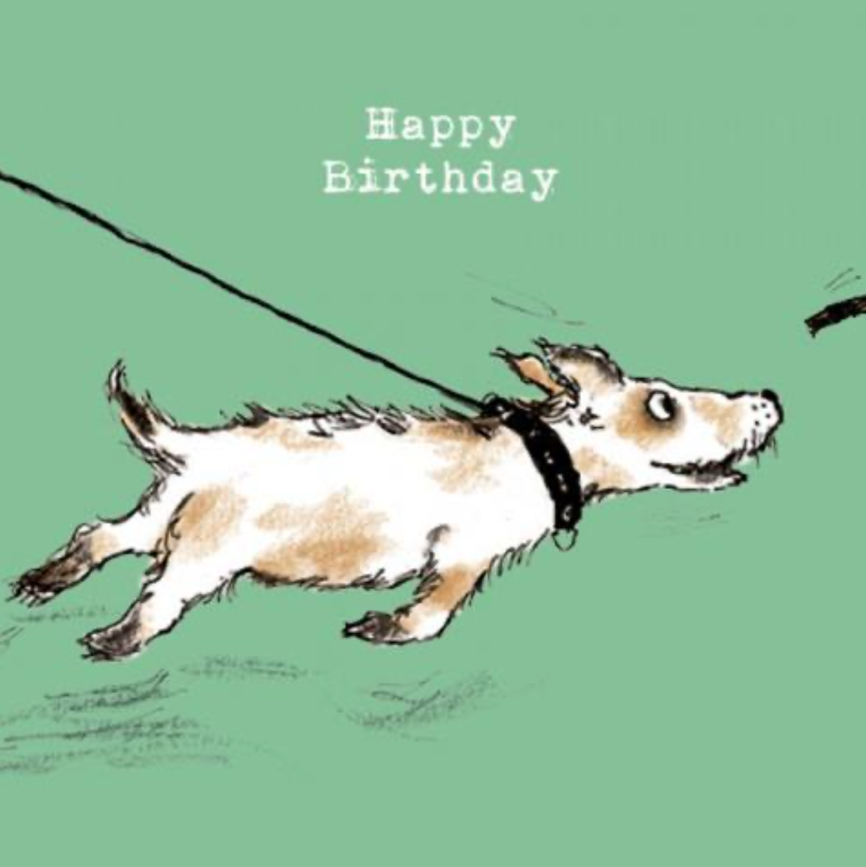 Birthday Sport, Una Joy FB423
