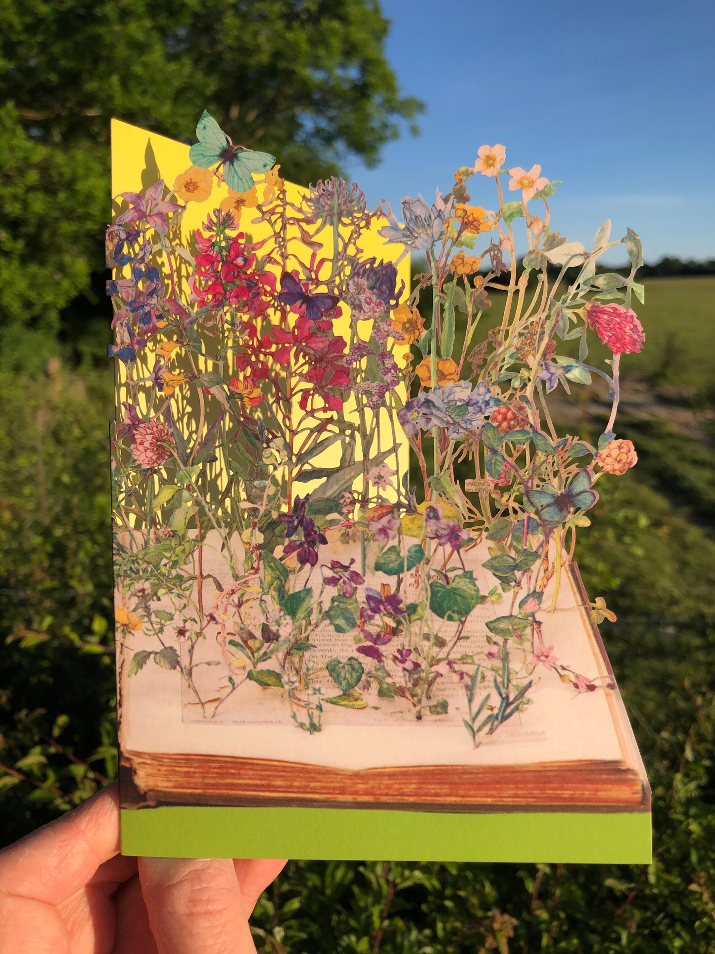 Wild Flowers of the British Isles - Scissors Paper Tree Lasercut Card, Su Blackwell GC2093
